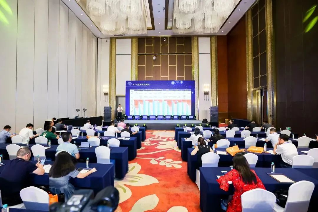 1692087166919161.jpg 640 (1).jpg