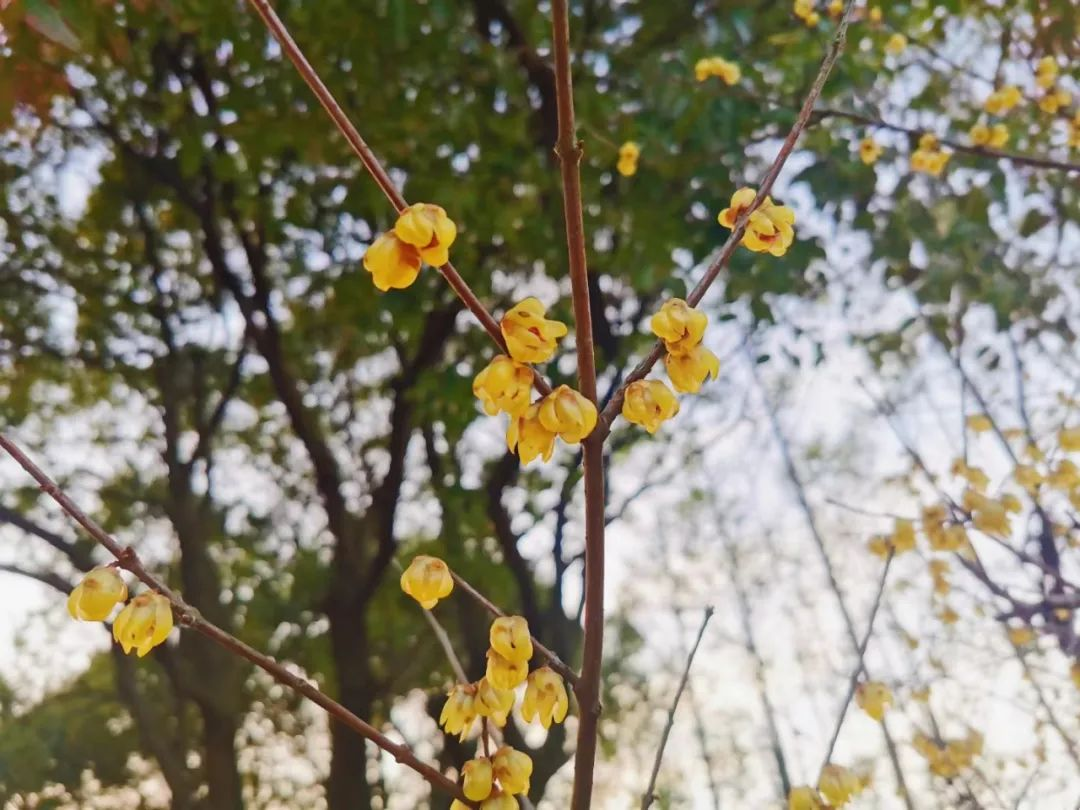 1754959767759349.png 圖片2.png